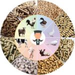 FEDERAL POLYTECHNIC OKO TO VENTURE INTO PRODUCTION OF ANIMAL FEEDS, FOOD PROCESSING, CONCRETE PRODUCTION, ETC