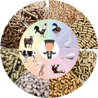 Read more about the article FEDERAL POLYTECHNIC OKO TO VENTURE INTO PRODUCTION OF ANIMAL FEEDS, FOOD PROCESSING, CONCRETE PRODUCTION, ETC